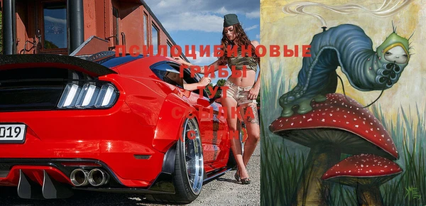гидра Нефтегорск