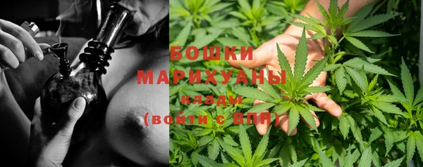 гидра Нефтегорск