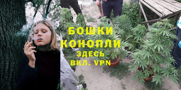 гидра Нефтегорск