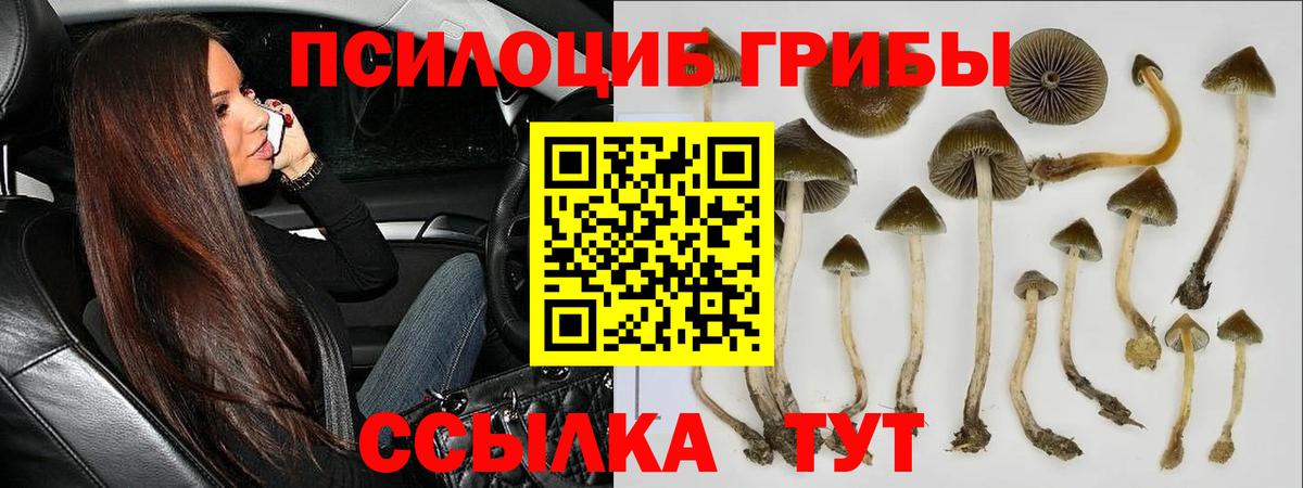 Псилоцибиновые грибы MAGIC MUSHROOMS  Псилоцибиновые грибы мицелий  Железноводск  Вход с VPN 