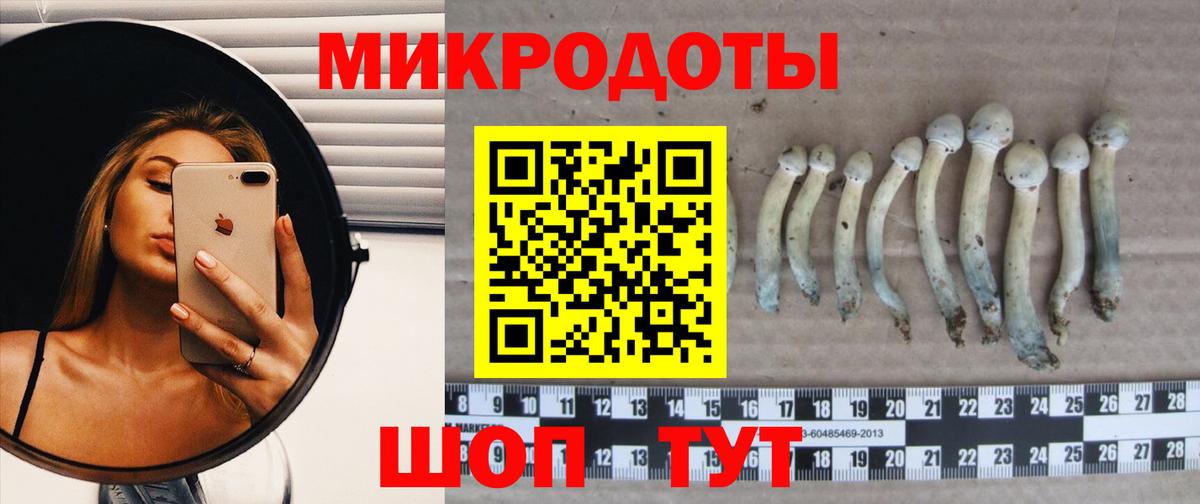 Псилоцибиновые грибы мицелий  Галлюциногенные грибы Psilocybine cubensis  Железноводск 