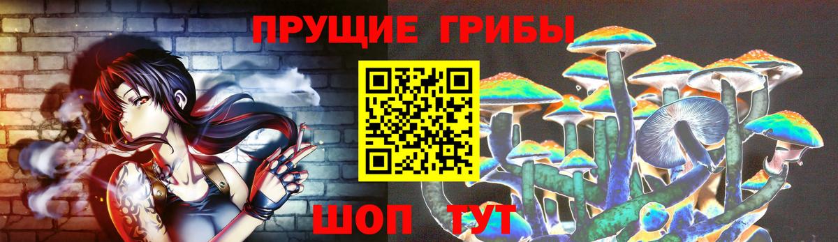 Псилоцибиновые грибы Cubensis Железноводск