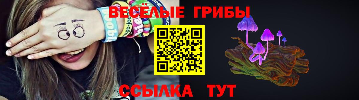 Псилоцибиновые грибы мицелий Железноводск